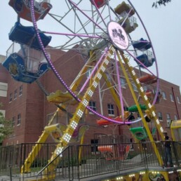 50 Ft. Gondola Wheel