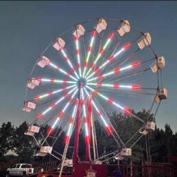 60 Ft.Traditional Ferris Wheel